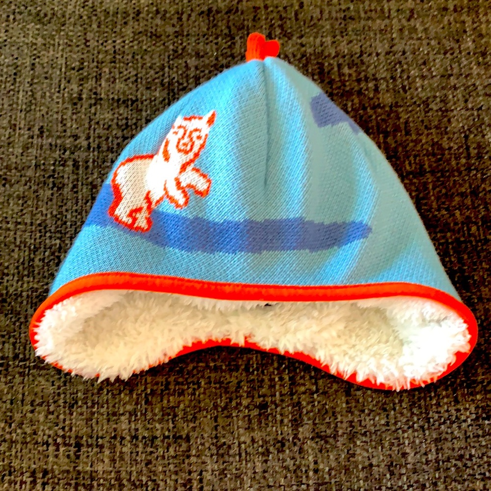 Patagonia winter hat